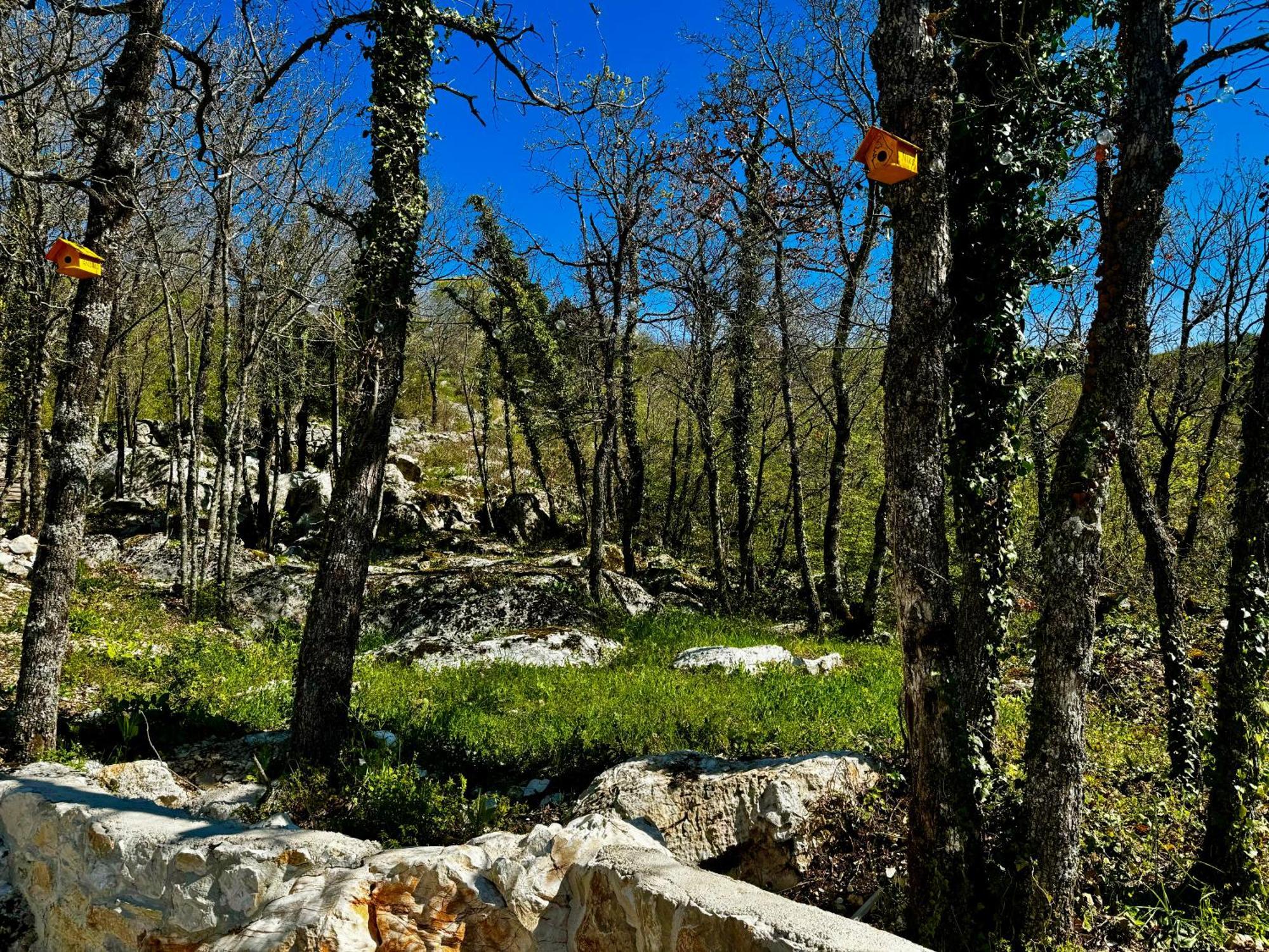 Luxury Villa Andrea Vrzika In Forest Near The Sea Zagvozd Экстерьер фото